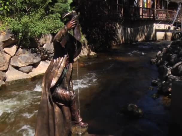 Statue Along River in Estes Park — Stockvideo